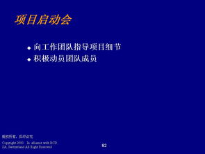 德勤管理咨詢 程序、技能與ERP100企業信息化知識門戶